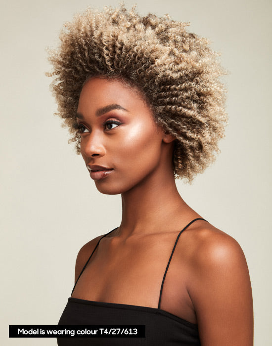 Feme Afro Lace Wig - Loose Twist Out